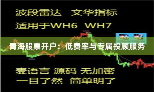 青海股票开户:低费率与专属投顾服务