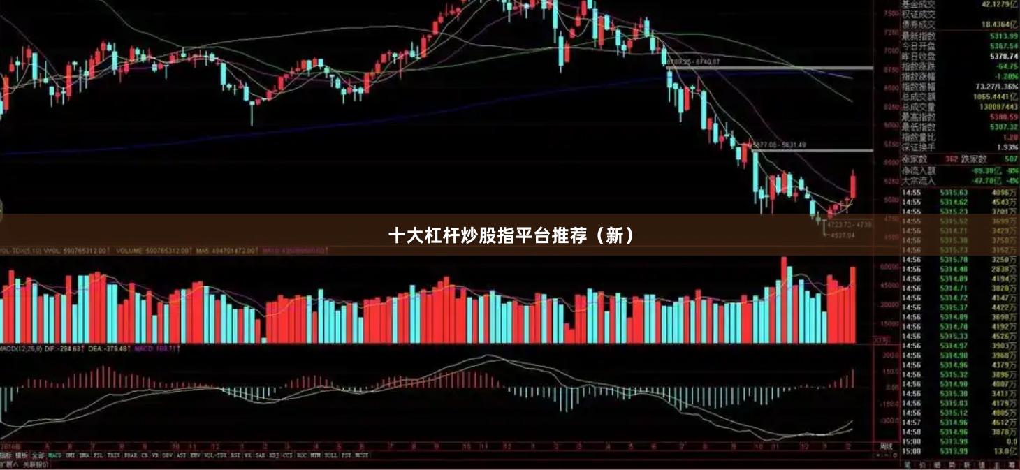十大杠杆炒股指平台推荐（新）